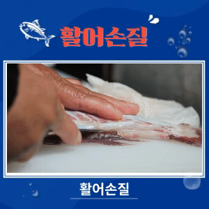 사용자 등록이미지