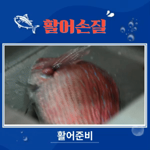 사용자 등록이미지